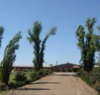 Newell Motor Inn - Narrandera - Lightning Ridge Tourism