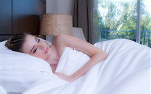 Remington Motor Inn - Muswellbrook - Lightning Ridge Tourism 0