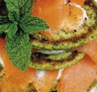 Retreat at Froog-Moore Park - Tamworth - Lightning Ridge Tourism