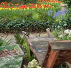 The Carrington Inn - Lightning Ridge Tourism