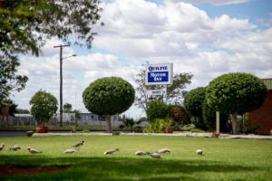 Quilpie Motor Inn - Lightning Ridge Tourism 4