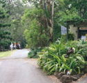Tamborine Mountain Caravan  Camping - Lightning Ridge Tourism