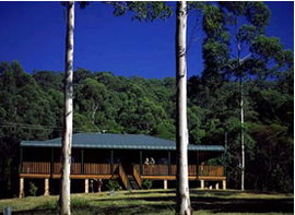 Dungog NSW Lightning Ridge Tourism