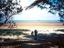 Midge Point QLD Lightning Ridge Tourism
