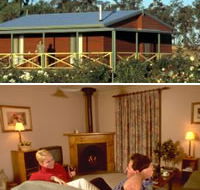 Twin Trees Country Cottages - Lightning Ridge Tourism