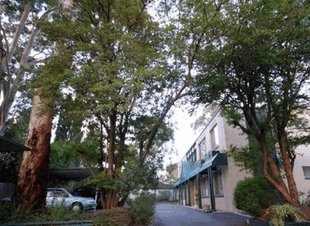 Adelaide Oakford Apartments - Lightning Ridge Tourism