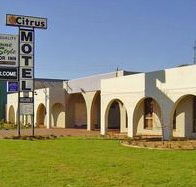 Citrus Motel - Lightning Ridge Tourism
