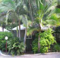 Nambour Rainforest Holiday Village - Lightning Ridge Tourism 1