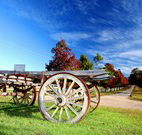 The Oaks Ranch and Country Club - Mossy Point - Lightning Ridge Tourism