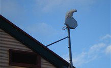 Lake View Farm House - Lightning Ridge Tourism 7
