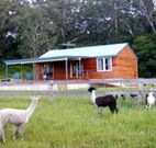 Moorallie Cottage Farm Stay - Lightning Ridge Tourism