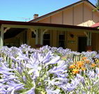 Red Hill Organics Farmstay - Lightning Ridge Tourism