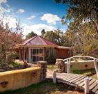 Starline Alpaca Farm Stay - Lightning Ridge Tourism