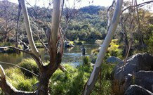 Venterfair Rural Retreat - Lightning Ridge Tourism 3