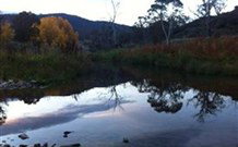 Venterfair Rural Retreat - Lightning Ridge Tourism 6
