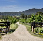 Pemberley Grange Hunter Valley Getaway - Lightning Ridge Tourism