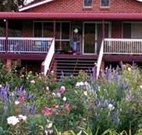 Rose Patch Bed and Breakfast - Lightning Ridge Tourism