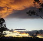 Silkwood B and B - Lightning Ridge Tourism
