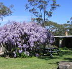 Studio Cottages - Lightning Ridge Tourism