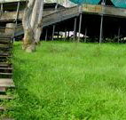 Snowy Valley Resort - Lightning Ridge Tourism