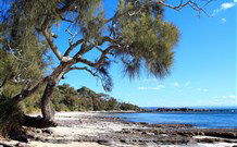 David Jones Cottage - Lightning Ridge Tourism 0