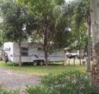 Gum Tree Heaven - Lightning Ridge Tourism