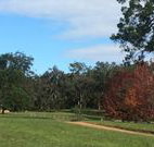 Mulberry Cottage - Lightning Ridge Tourism