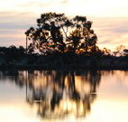 Myuna Bay Sport and Recreation Centre - Lightning Ridge Tourism