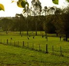 Stone Cottage Mittagong - Lightning Ridge Tourism