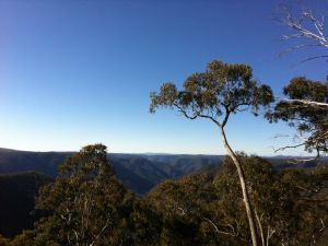 Cheyenne Wilderness Farmstay - Lightning Ridge Tourism 5