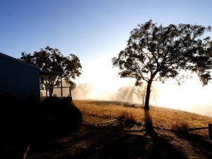 Yellowbox Country Cabins - Lightning Ridge Tourism 5