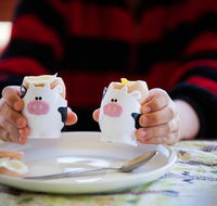 Cosy Cow Farmstay Bed and Breakfast - Lightning Ridge Tourism