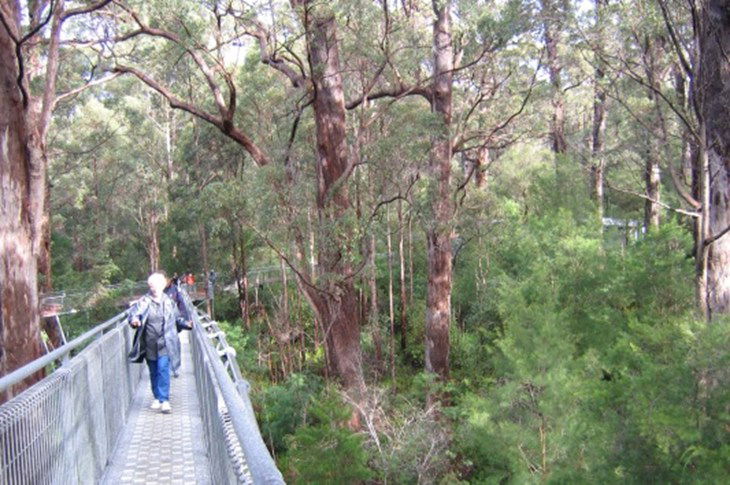  Lightning Ridge Tourism