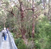 Walpole YHA - Lightning Ridge Tourism