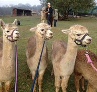 Bunyip Springs Farmstay - Lightning Ridge Tourism