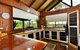 Tea Tree Daintree - thumb 0
