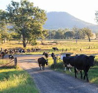 Tommerups Dairy Farmstay - Lightning Ridge Tourism