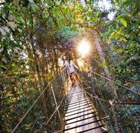 O'Reilly's Rainforest Retreat - Lightning Ridge Tourism