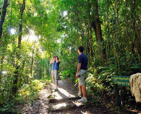 O'Reilly's Rainforest Retreat - Lightning Ridge Tourism 2