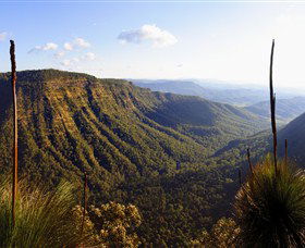 O'Reilly's Rainforest Retreat - Lightning Ridge Tourism 3