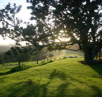 Kilfeacle Farm Cottage - Lightning Ridge Tourism