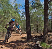 Back Yamma State Forest - Lightning Ridge Tourism