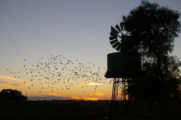 Tooraweenah NSW Lightning Ridge Tourism
