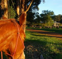 Billa Billa Farm Cottages - Lightning Ridge Tourism