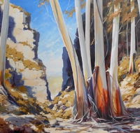 Gallery Blackheath - Lightning Ridge Tourism
