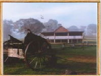 Megalong Valley Farm - Lightning Ridge Tourism 0