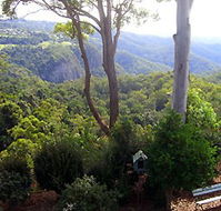 Mt Tamborine Motel - Lightning Ridge Tourism