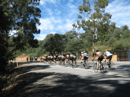 Pinnacle View Apartments - Lightning Ridge Tourism 5