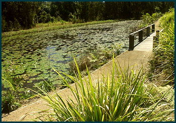 Aba Abode - Lightning Ridge Tourism 3