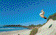 Backpackers Inn On The Beach - thumb 0